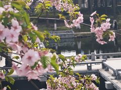 -鸡鸣寺