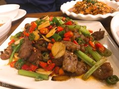 -三猫黑鱼花(南大店)