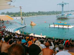 -秦皇岛乐岛海洋王国