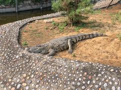 -辛玛王国游乐园