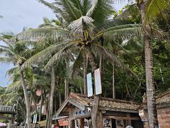 -海南分界洲岛旅游区