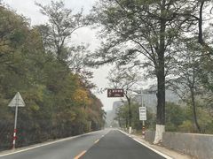 -白草畔自然风景区