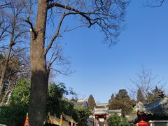 -崂山仰口游览区