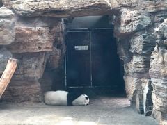 -石家庄市动物园