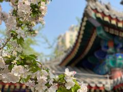 -大钟寺古钟博物馆