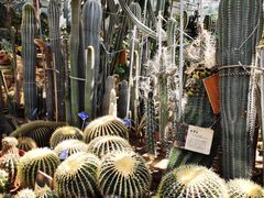 -国家植物园南园