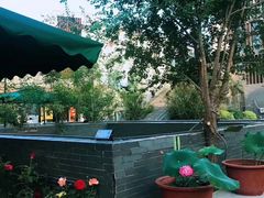 -津菜宋记老房子(鼓楼店)