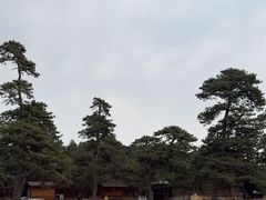 -清西陵