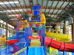 -南宫五洲植物乐园