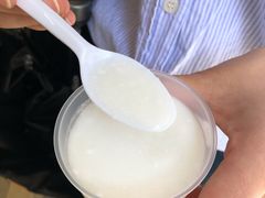-洪馨椰子