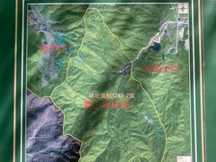 -素山寺森林公园