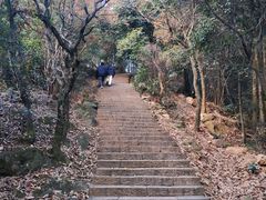 -西湖风景区十里琅珰-五云山