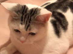 -玲珑汤泉生活会馆(花桥店)