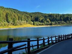 -武陵山森林公园