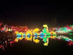 -淄博花灯齐彩城