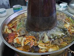 -野菌王牦牛肉汤锅