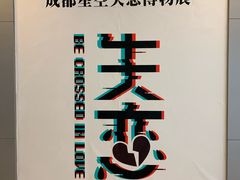 -成都失恋馆