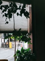 -香秀空间科技抗衰·美容中心