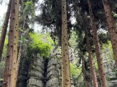 -梭布垭石林景区