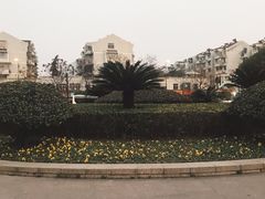 -杭州城北体育公园