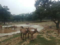 -西安秦岭野生动物园