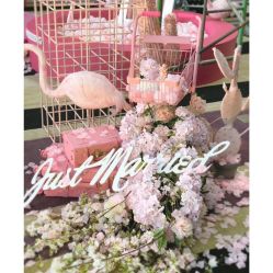 点击看大图 -DC大蔡婚礼策划(李公堤店)