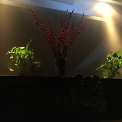 -史云逊养发护发