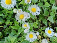 -苏州河梦清园环保主题公园