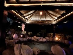 -英德宝晶宫天鹅湖茶语温泉