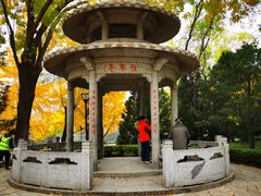 -玲珑塔公园