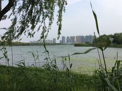 -暨阳湖生态园