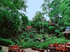 景观位-绿光森林餐厅