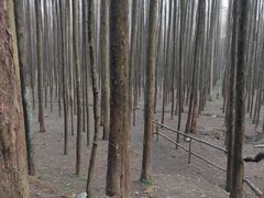 -山王坪喀斯特国家生态公园