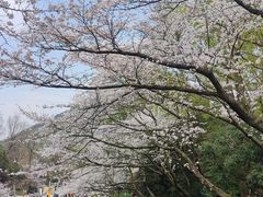 -杭州少年儿童公园