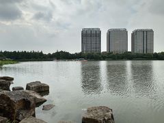 -南翔镇银翔湖公园