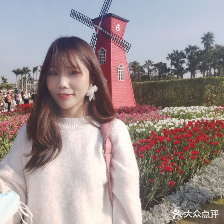 🌷园博苑•荷兰园郁金香•异域风情🌷