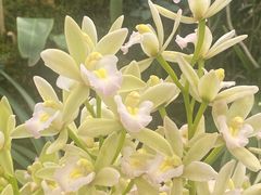 -国家植物园南园