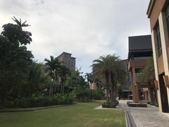 -三亚湾红树林度假世界(木棉酒店)