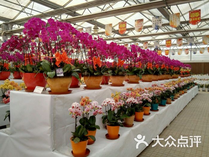 天津花卉示范中心图片 第3张