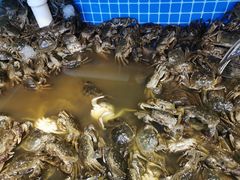 -蟹谢蒸鲜自助餐厅