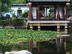 -尚湖风景区