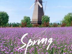 -漩门湾国家湿地公园