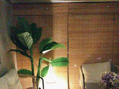 -施奈儿.洗头頭療.按摩SPA.采耳(上梅林店)