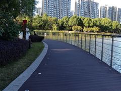 -南翔镇银翔湖公园