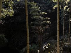 -宁波五龙潭景区