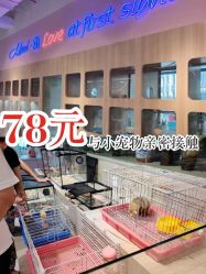 -Moni星球萌宠·小马宝莉·灵蛇·高端高阶全萌宠互动体验俱乐部(红豆国际广场店)