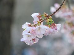 -静安雕塑公园