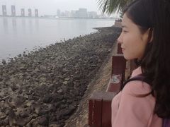 -万绿园