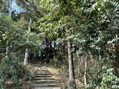 -仙岳公园