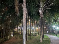 -荔香公园